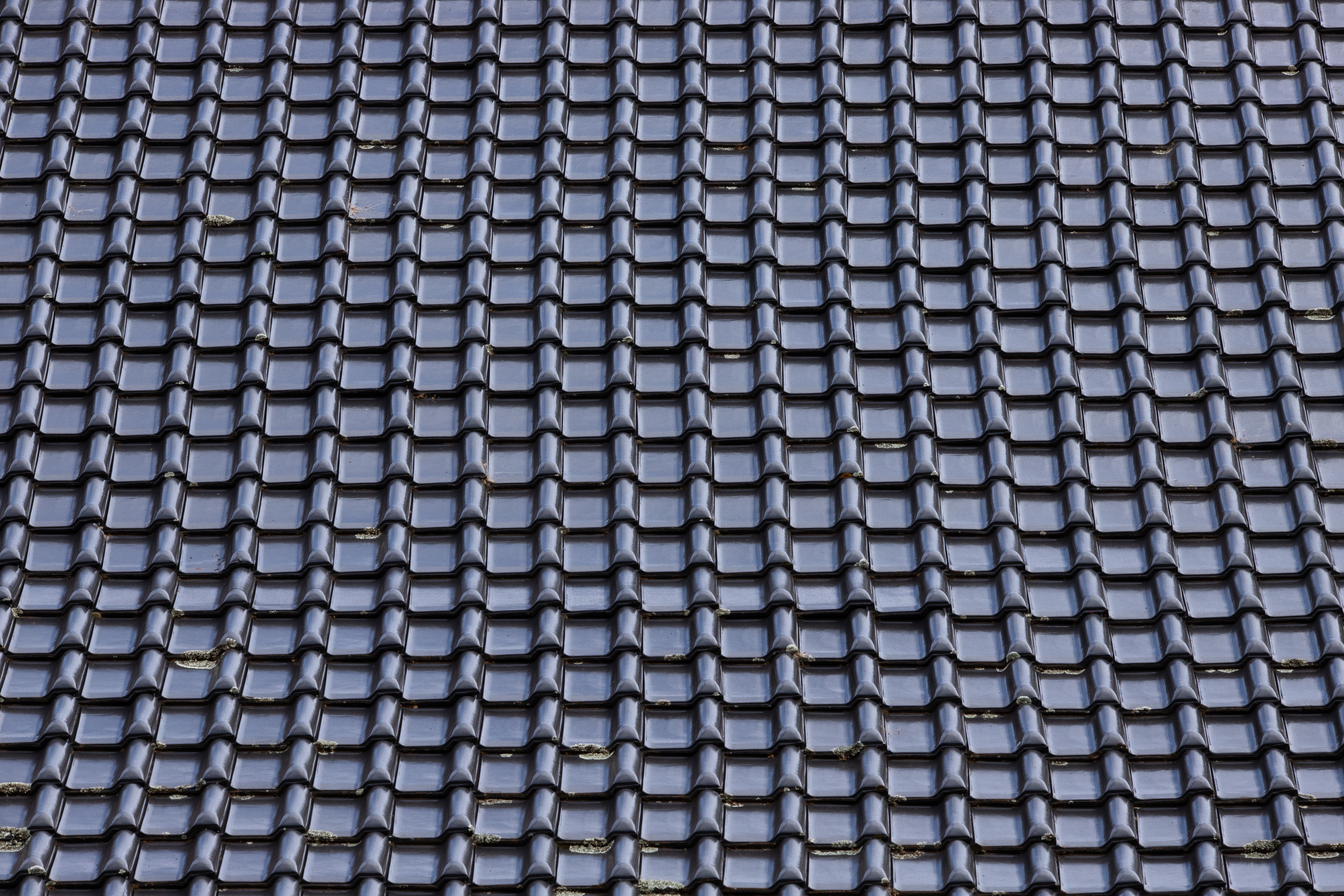 Dachrinnen-Sanierung